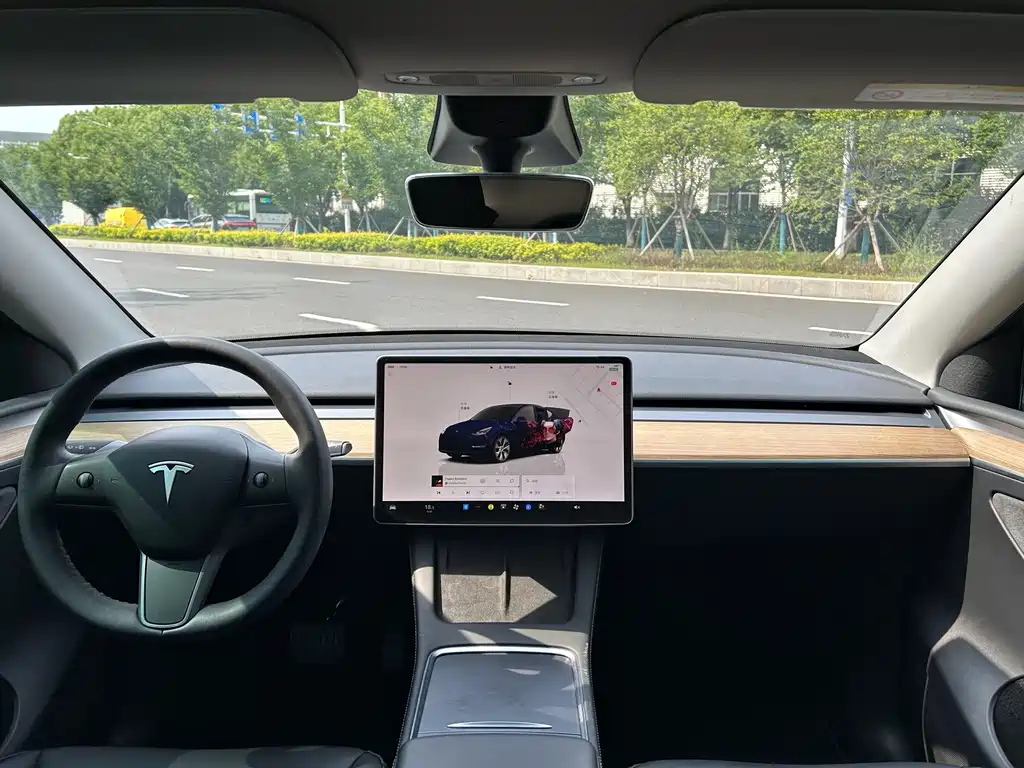 Tesla Model Y — миниатюра 6