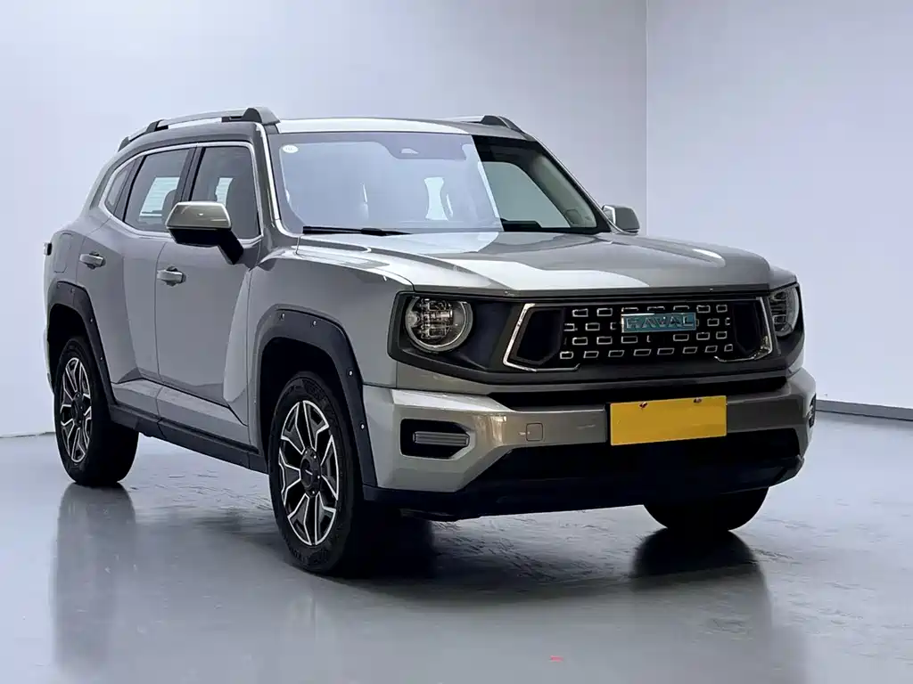 HAVAL  SECOND GENERATION BIG DOG NEW ENERGY