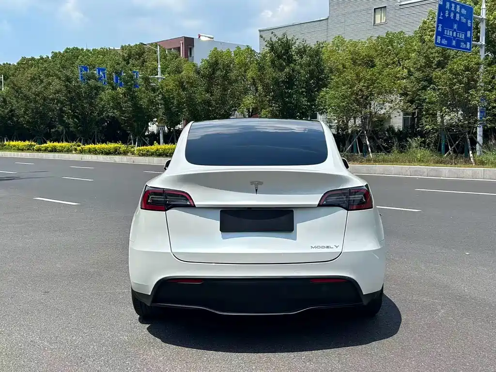 Tesla Model Y — миниатюра 9
