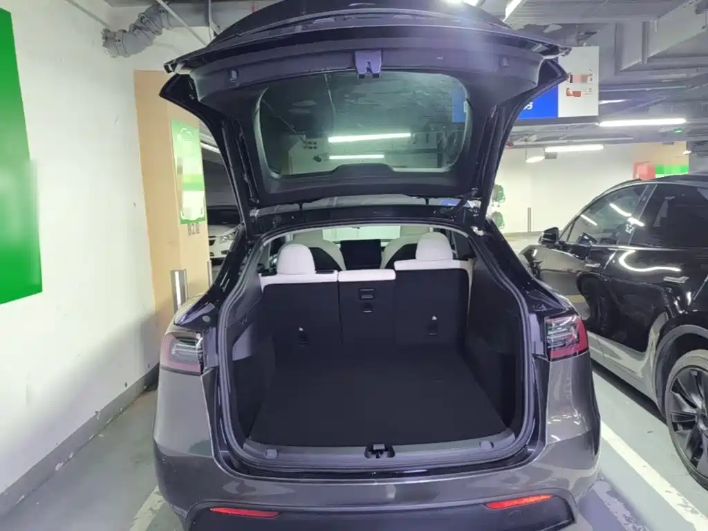 Tesla Model Y — миниатюра 19