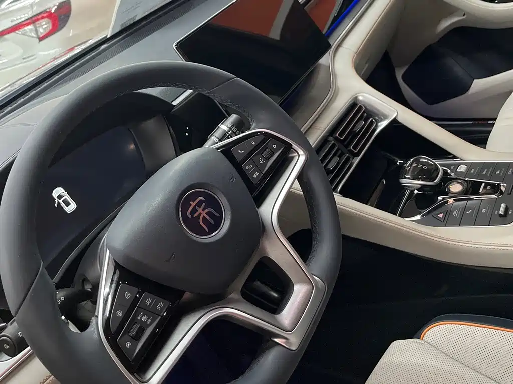 BYD PLUS New Energy — миниатюра 11