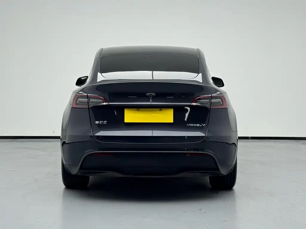 Tesla Model Y — миниатюра 5