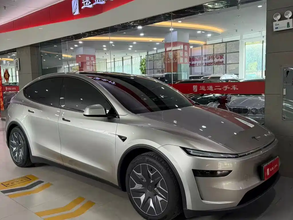 Tesla Model Y L — миниатюра 2