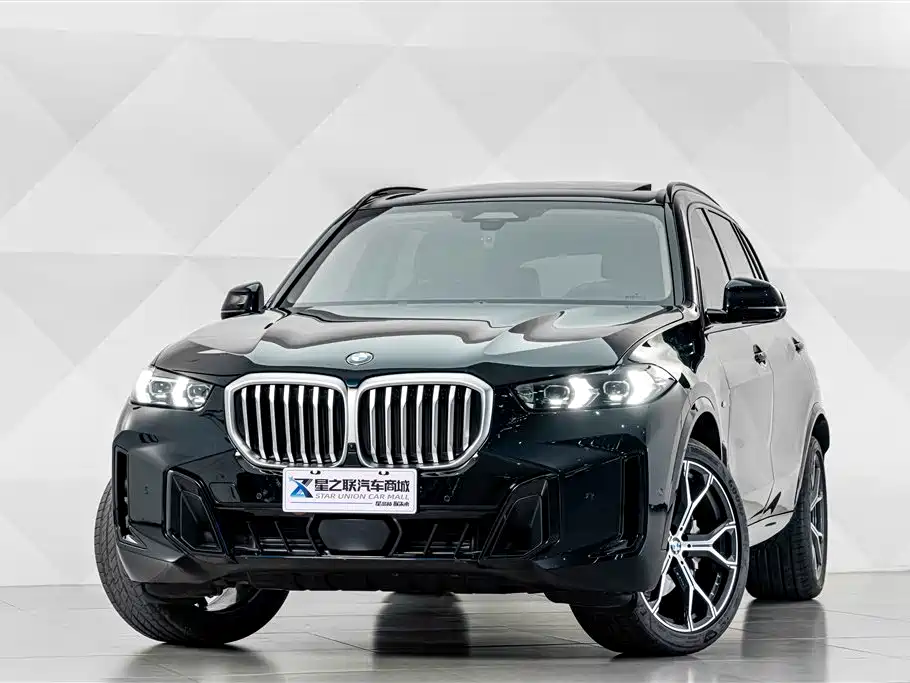 BMW X5 — миниатюра 2