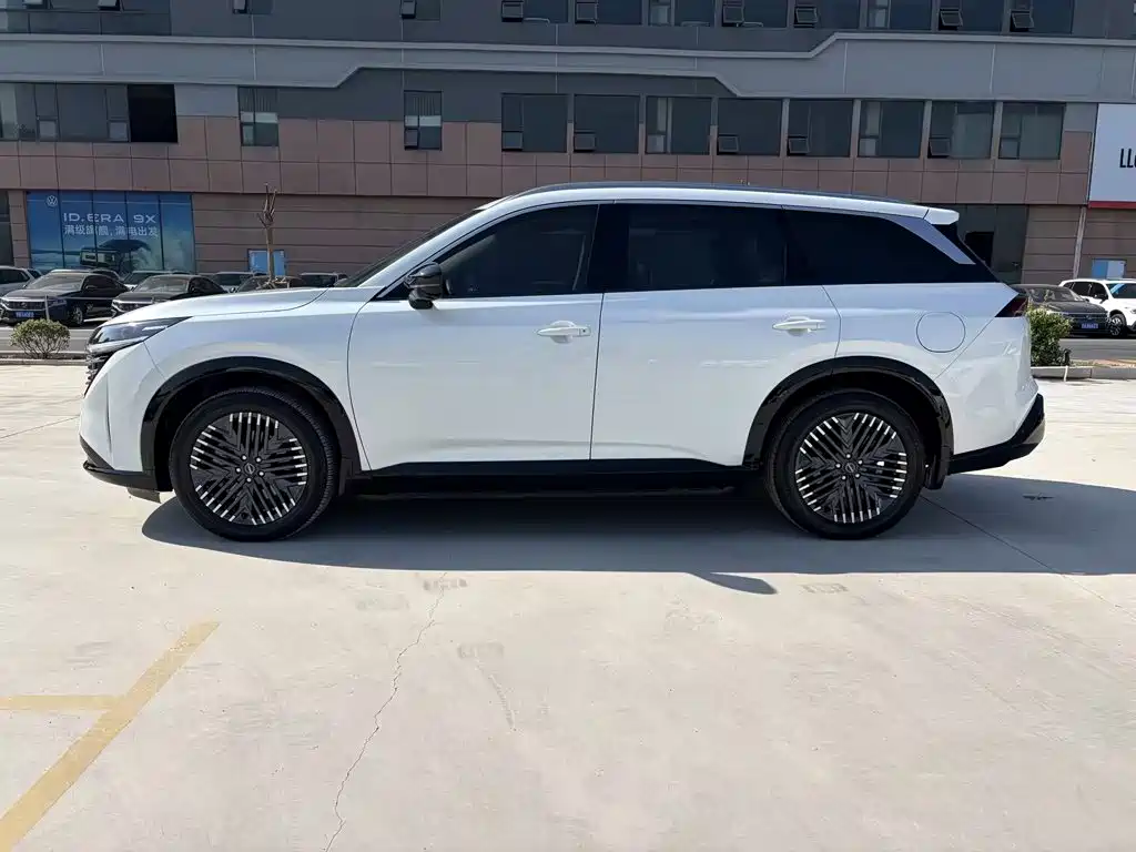 Nissan Teramont — миниатюра 4
