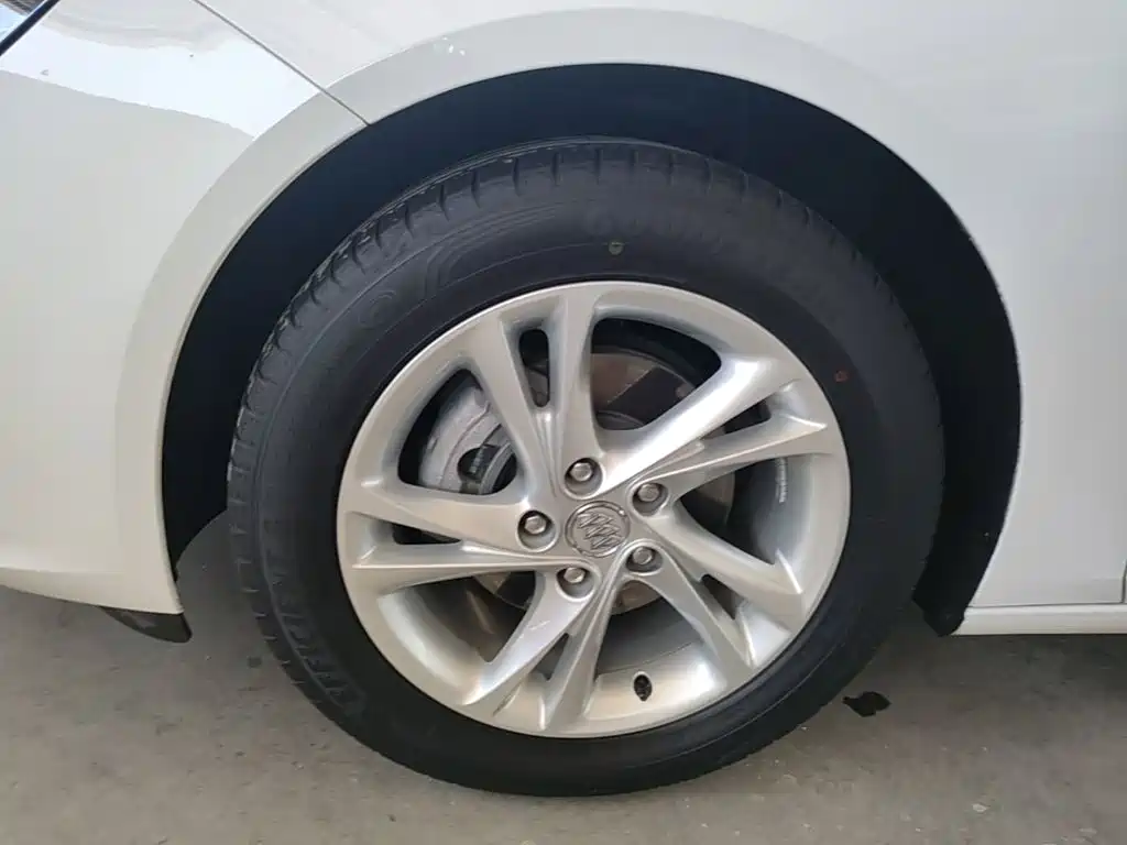Buick Regal — миниатюра 23