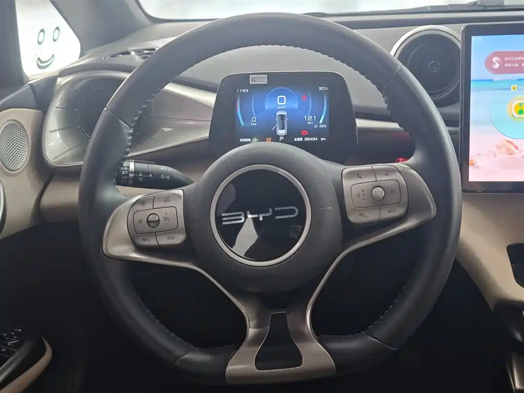 BYD Dolphin 2023 420km Fashion