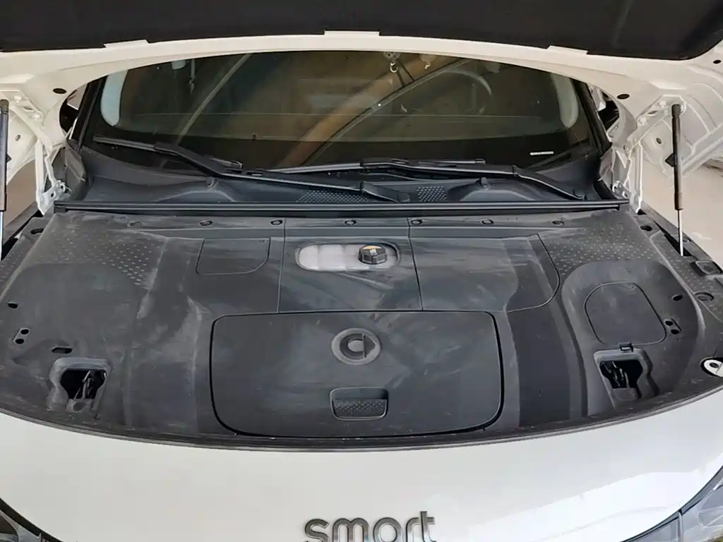 smart Smart #1 — миниатюра 20