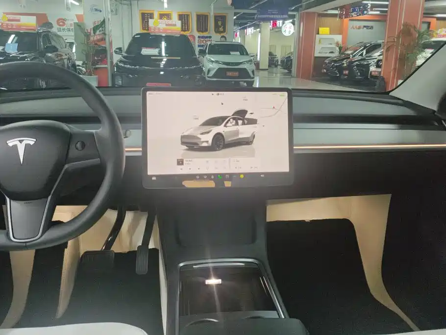 Tesla Model Y — миниатюра 13