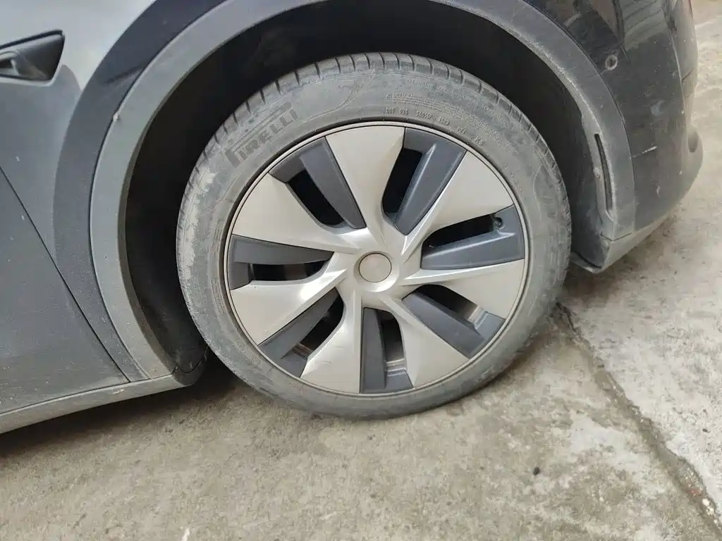 Tesla Model Y — миниатюра 24