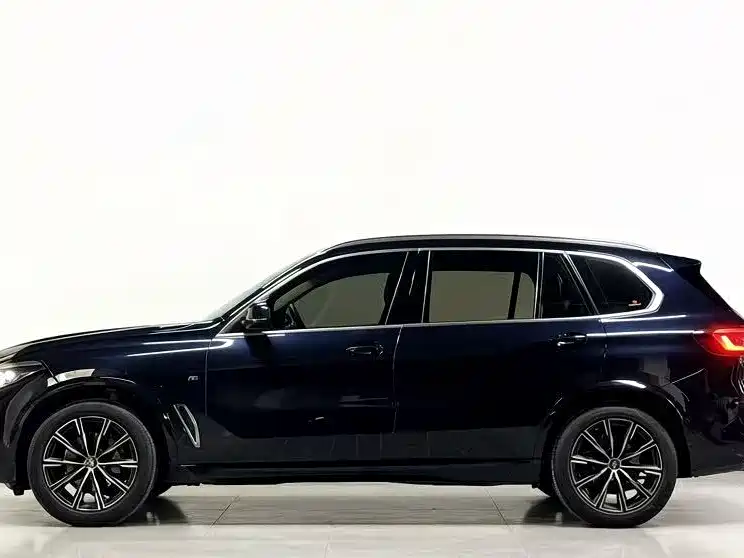 BMW X5 2022 xDrive 30Li M Sport
