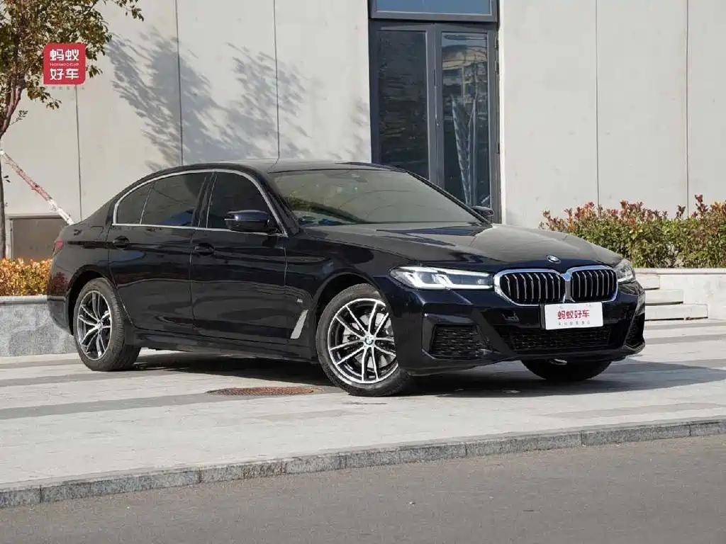 BMW 5 SERIES