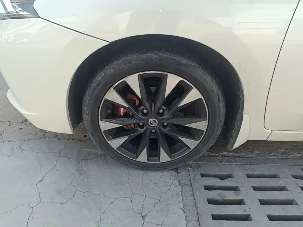 Nissan Bluebird — миниатюра 23