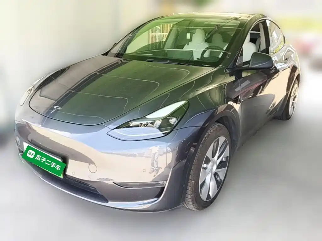 Tesla Model Y — миниатюра 3