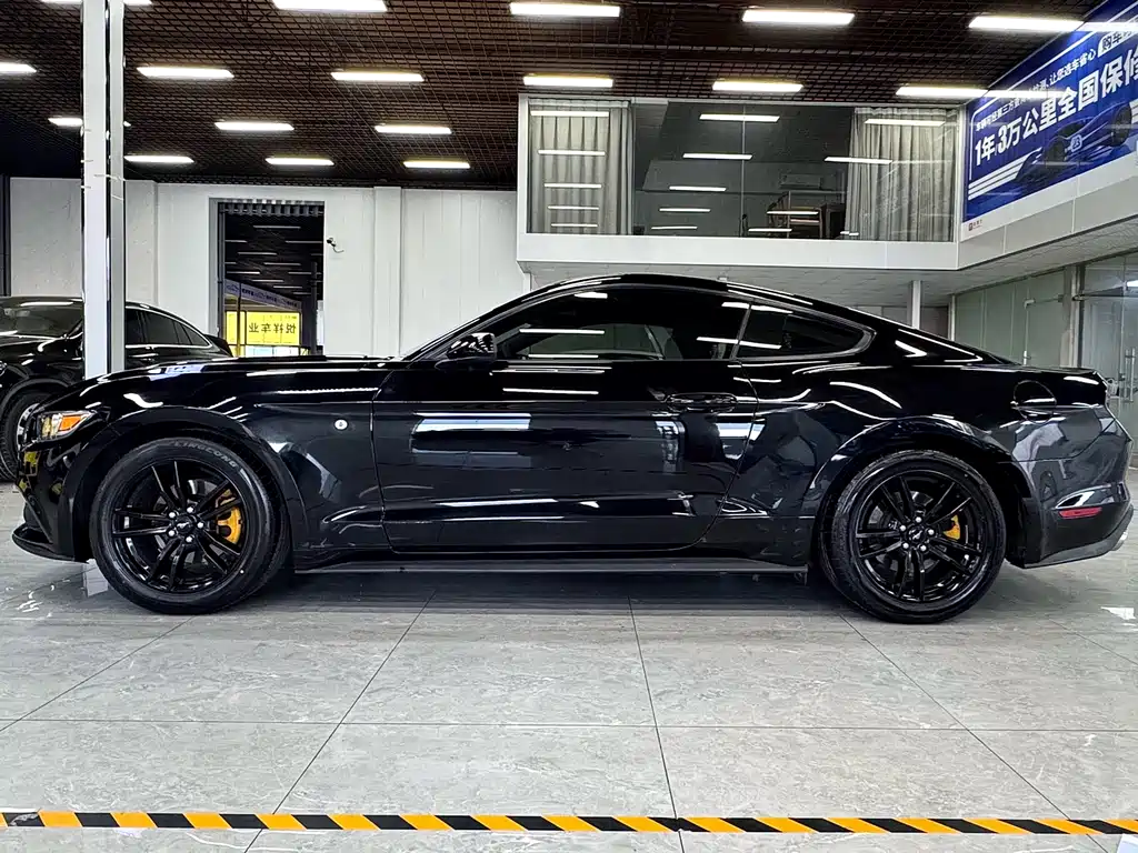 Ford Mustang — миниатюра 3