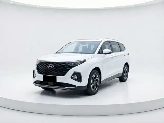 Hyundai Custo