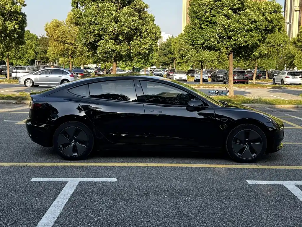 Tesla Model 3 — миниатюра 16