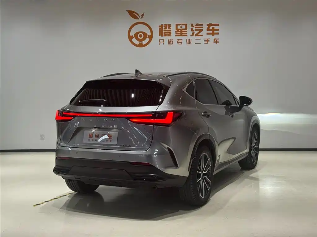 Lexus NX — миниатюра 4