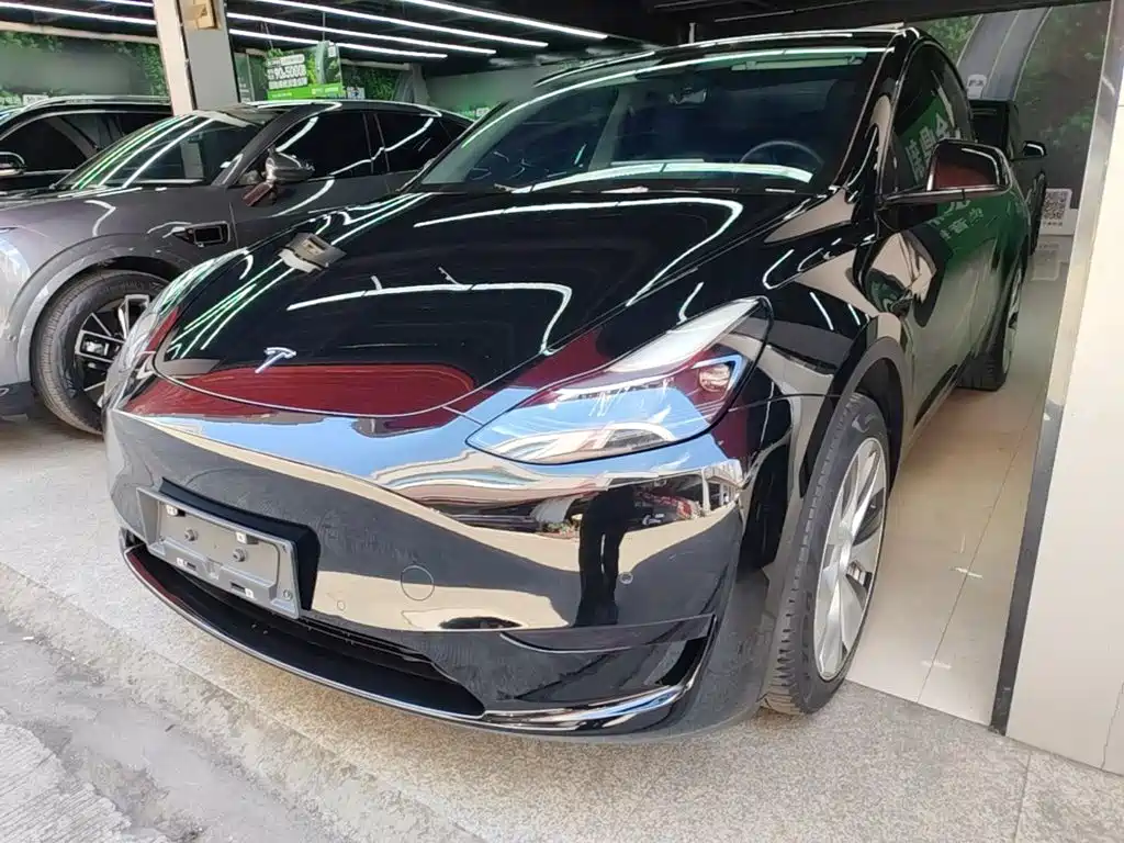 Tesla Model Y — миниатюра 2