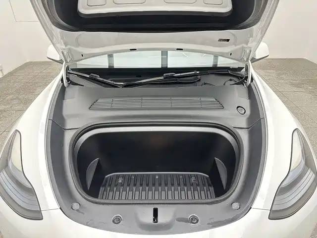 Tesla Model Y — миниатюра 17