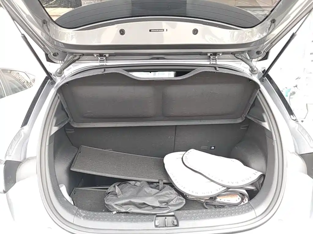 BYD Dolphin — миниатюра 19
