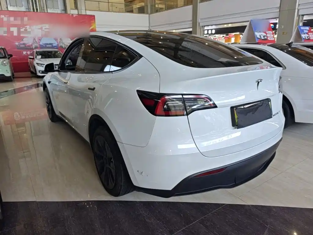 Tesla Model Y — миниатюра 5