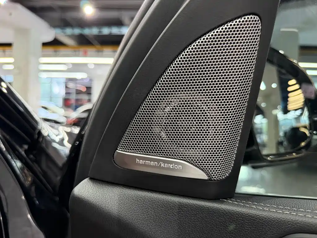 BMW X5 — миниатюра 13