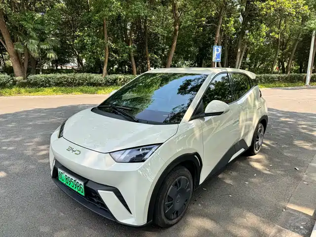 2024 BYD Seagull