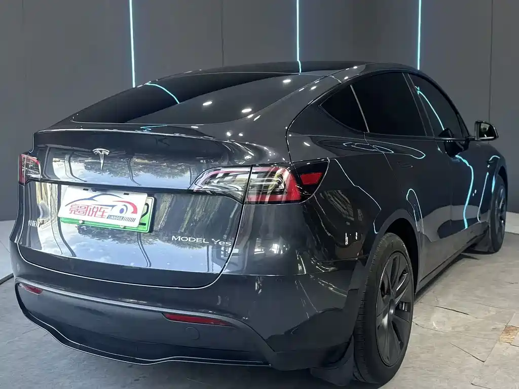 Tesla Model Y — миниатюра 6