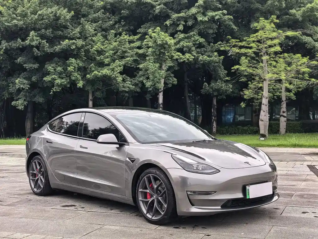 Tesla Model 3 — миниатюра 3