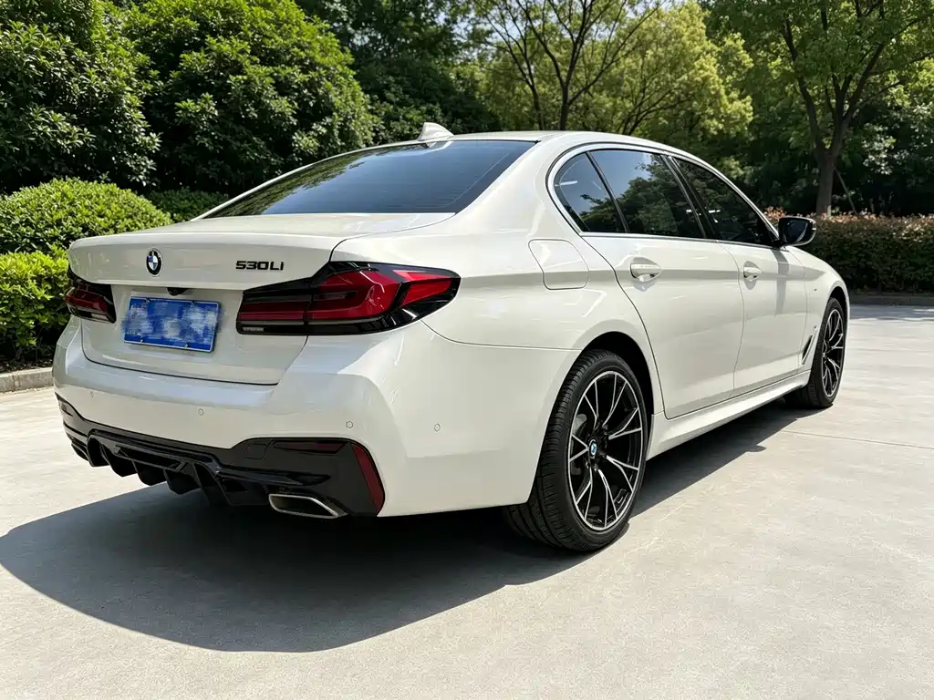 BMW 5 Series — миниатюра 19