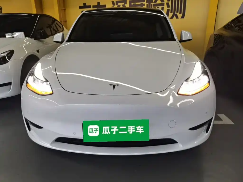 Tesla Model Y — миниатюра 3