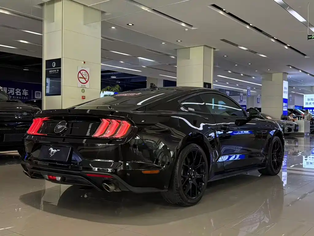 Ford Mustang — миниатюра 19