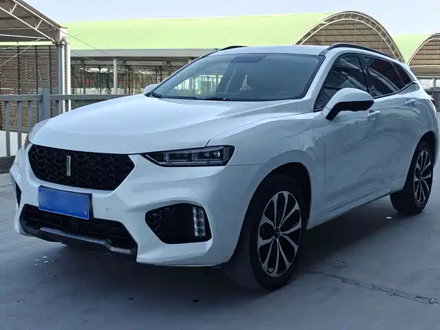 WEI PAI WEI BRAND VV7 2018