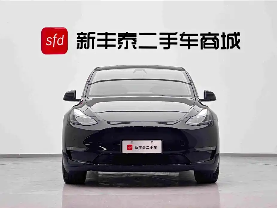 Tesla Model Y — миниатюра 2