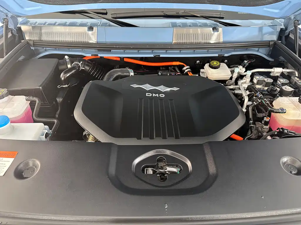 FANG CHENG BAO LEOPARD 5