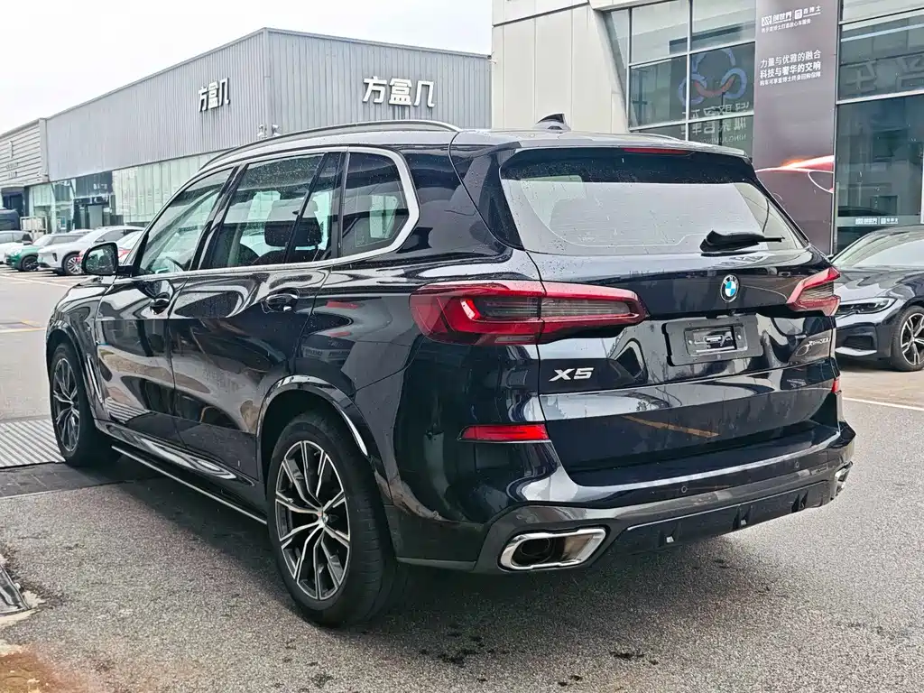 BMW X5 — миниатюра 7