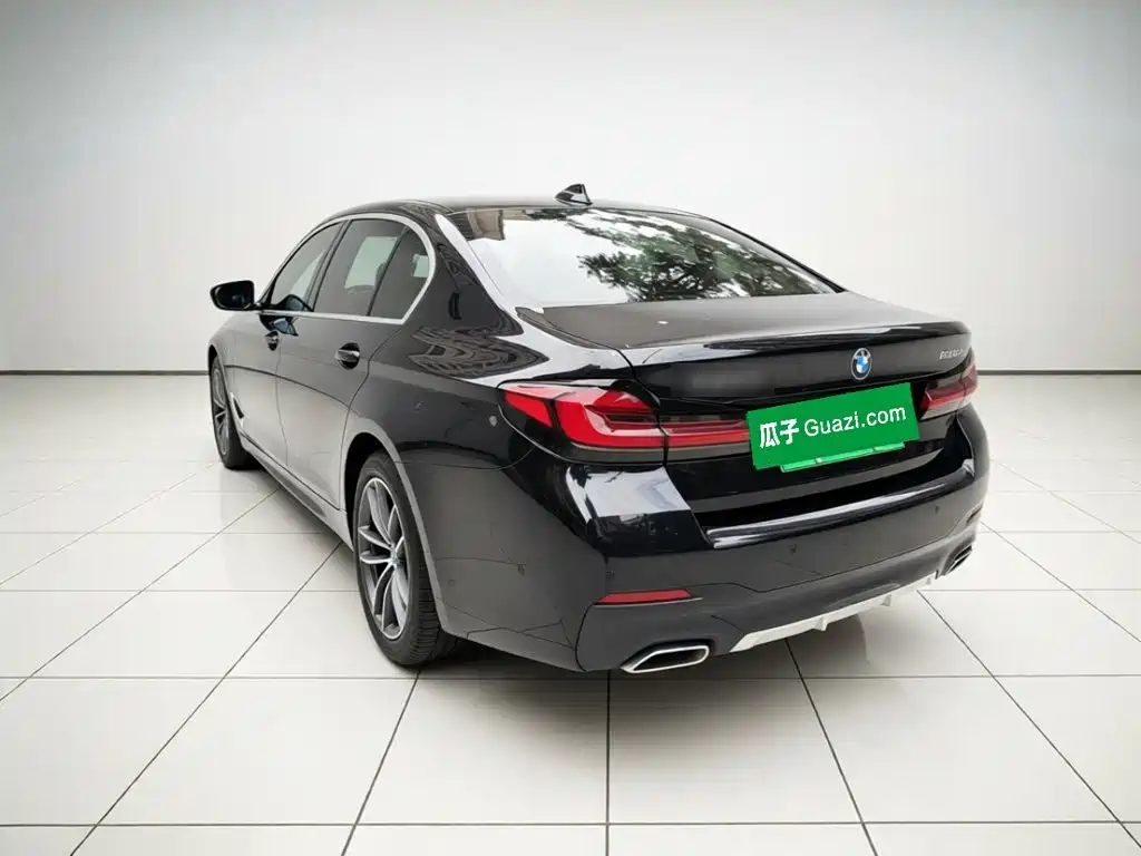 BMW 5 Series New Energy — миниатюра 4