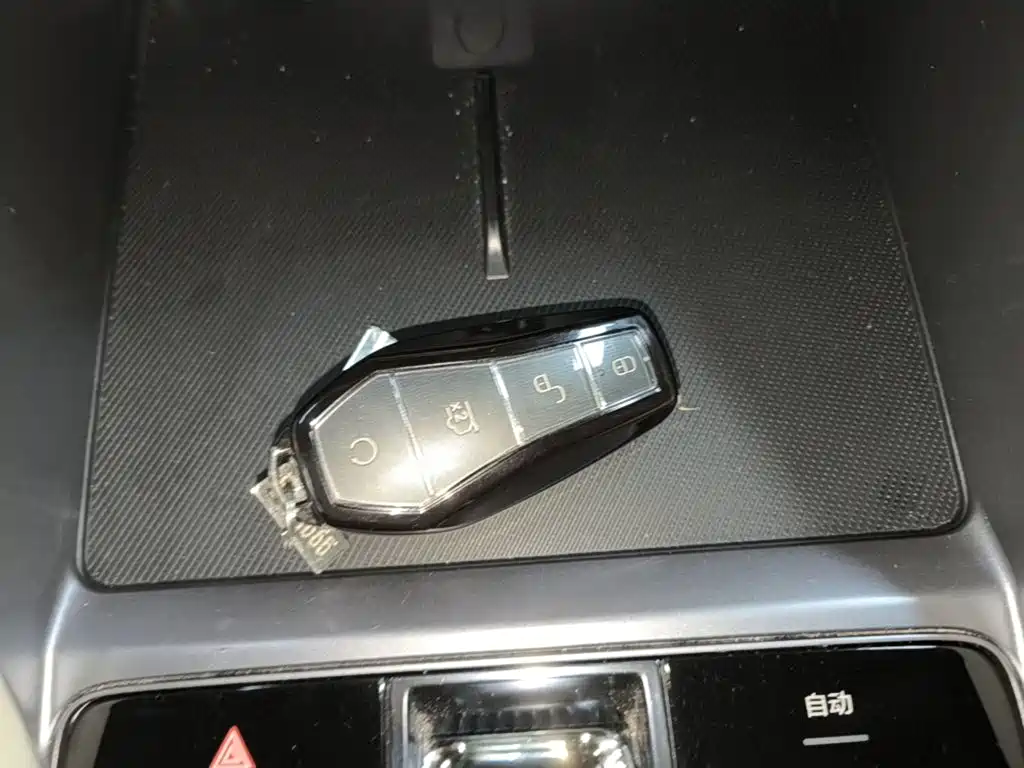 BYD PLUS New Energy — миниатюра 9