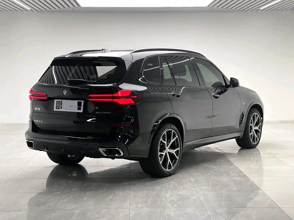 BMW X5 — миниатюра 7