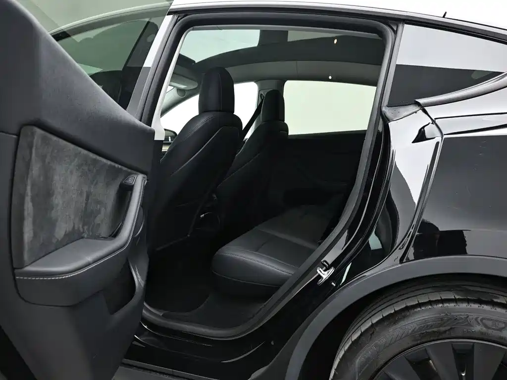 Tesla Model Y — миниатюра 12