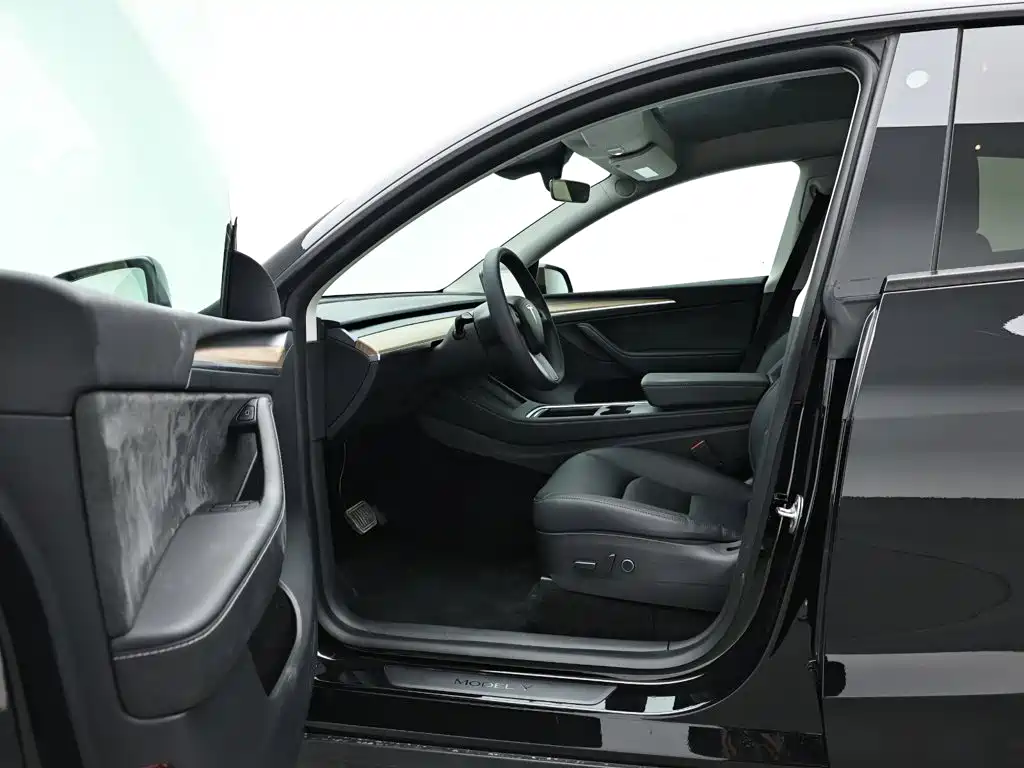 Tesla Model Y — миниатюра 11