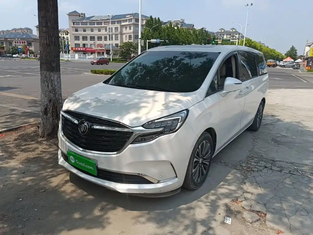 Buick GL8 — миниатюра 2
