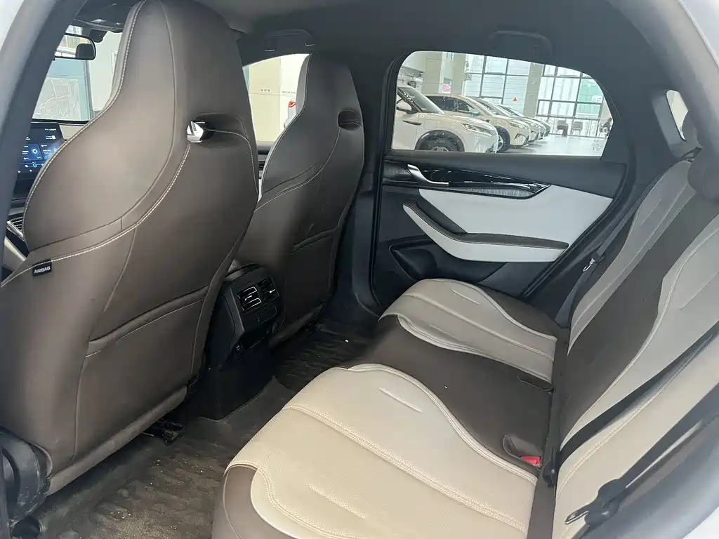 BYD Qin Plus PLUS 2024 DM-i 55KM Lead