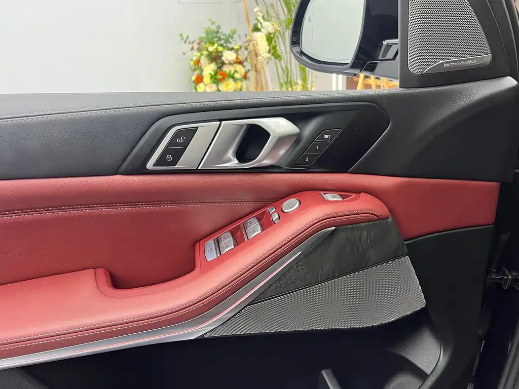 BMW X5 — миниатюра 7