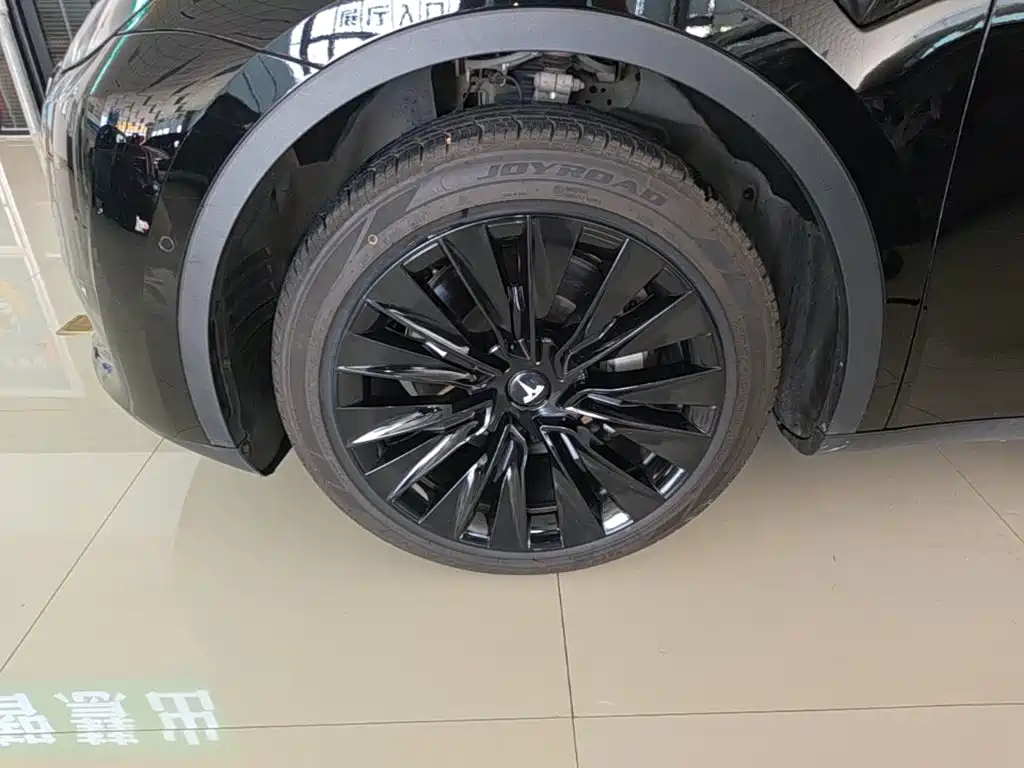 Tesla Model Y — миниатюра 23