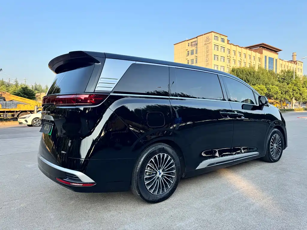 Denza Denza D9 — миниатюра 10