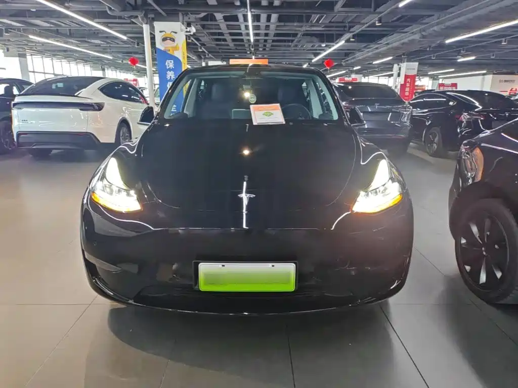 Tesla Model Y — миниатюра 3