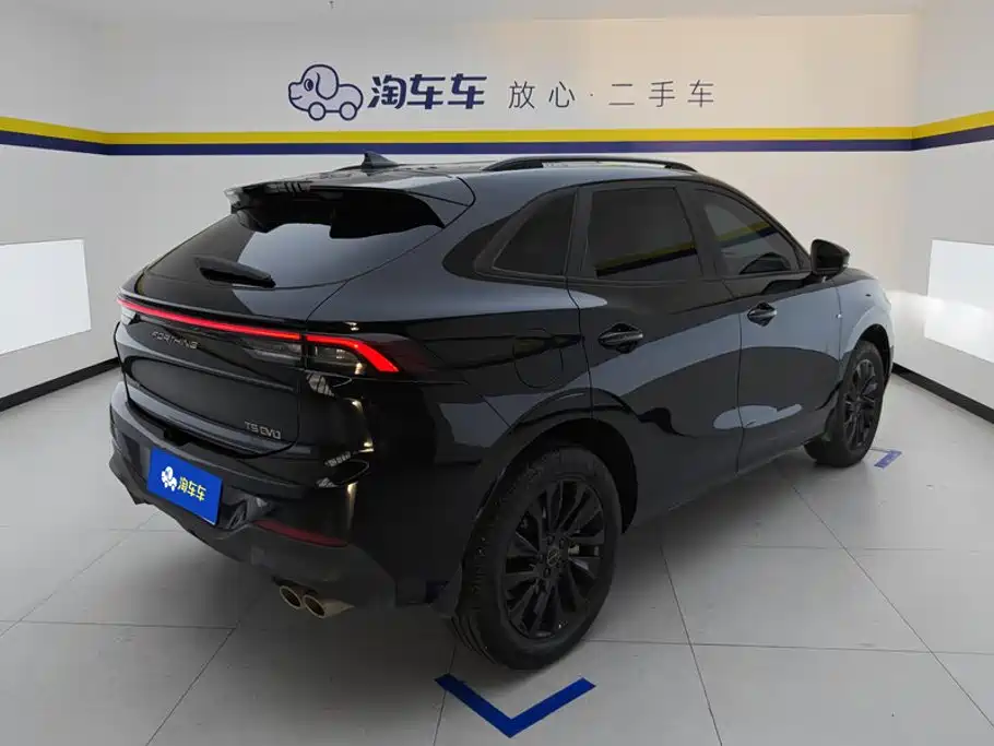 Fengxing Fengxing T5 EVO — миниатюра 3