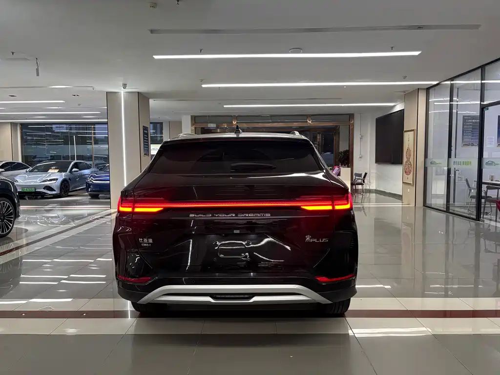 BYD PLUS New Energy — миниатюра 6